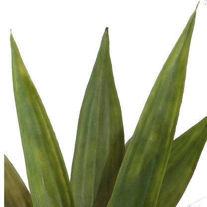 Contemporary Artificial Yucca Plant