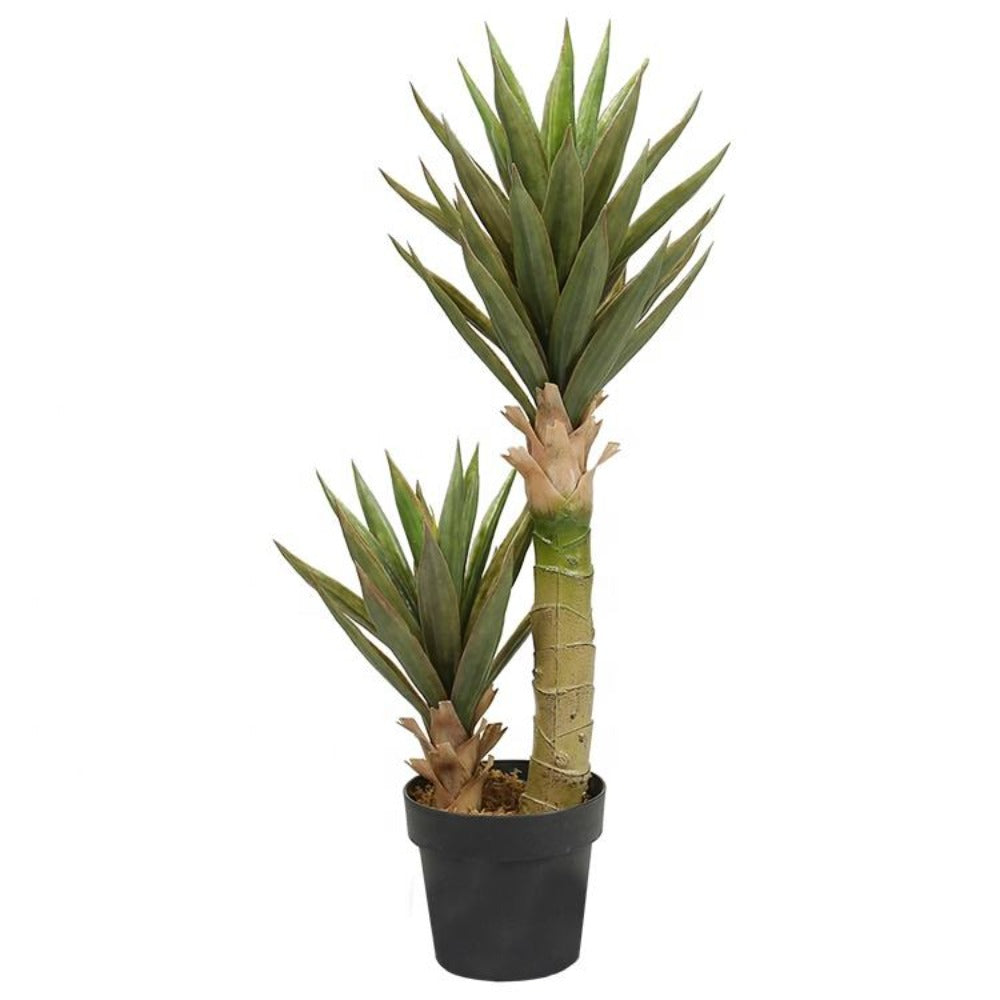 Contemporary Artificial Yucca Plant