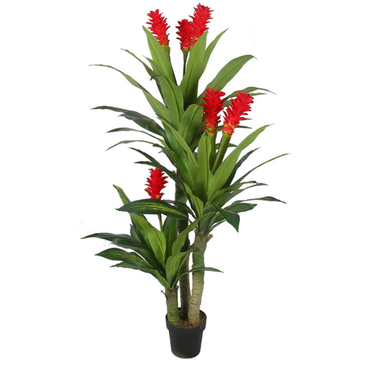 Cornstalk Dracaena Decorative Plants