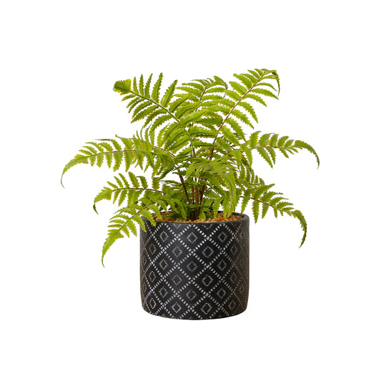 Decorative Artificial Fern Plant