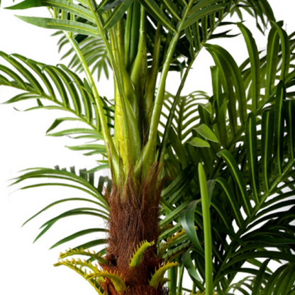 Decorative Artificial Pritchardia Gaudichaudii Tree