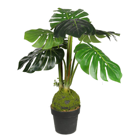 Decorative Bonsai Artificial Monstera Deliciosa Tree