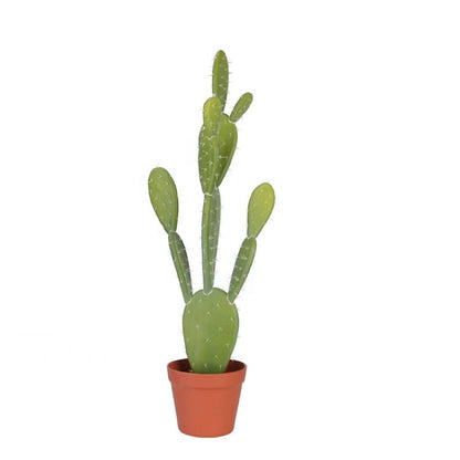 Decorative Potted Cactus