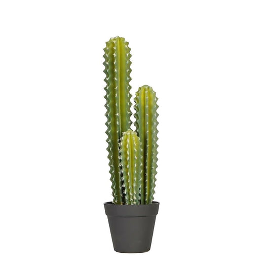 Durable Cactus Plant In Minimalist Pot