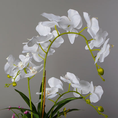 Elegant Faux Orchid Plant