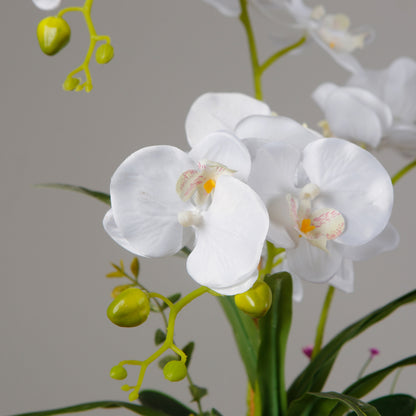 Elegant Faux Orchid Plant