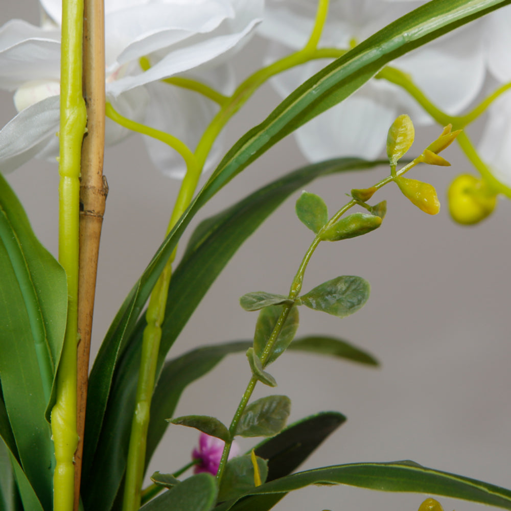 Elegant Faux Orchid Plant