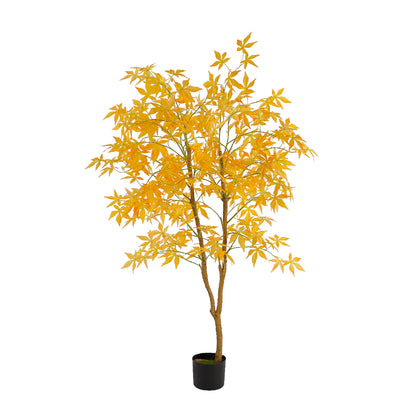 Elevate Indoor Decor With Maple Tree