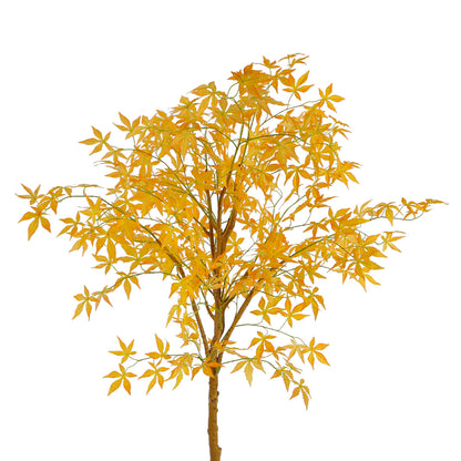 Elevate Indoor Decor With Maple Tree