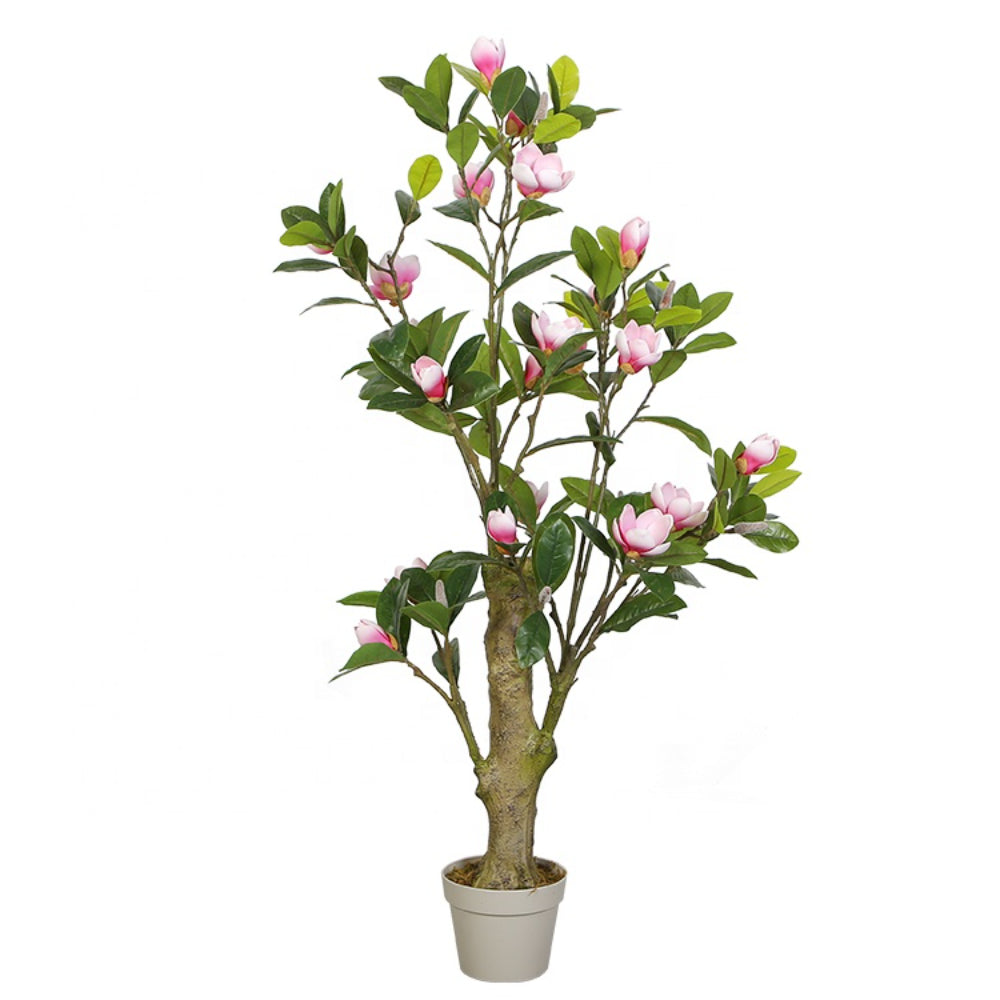 Elevate Your Decor With Magnolia Trees