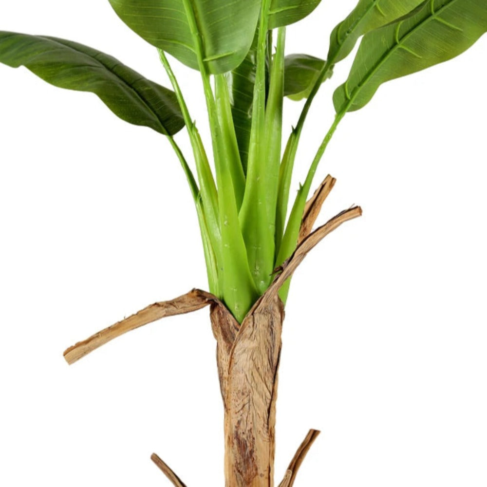 Exotic Artificial Banana Leaf Plants