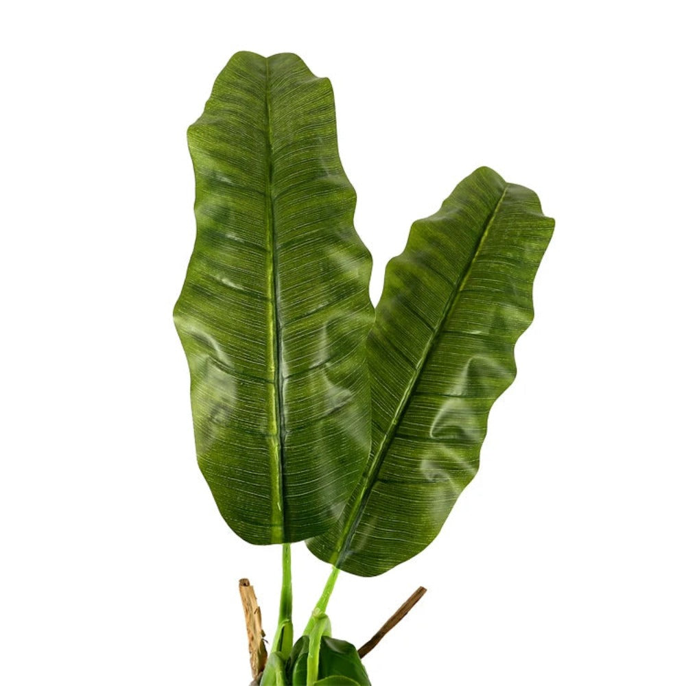 Exotic Artificial Banana Leaf Plants