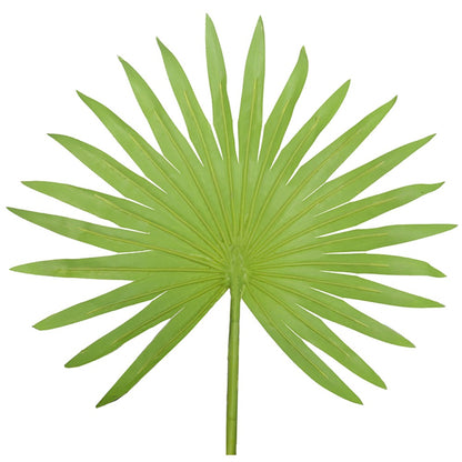 Fan Tree For Indoor Decor