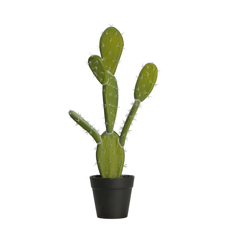 Faux Cactus Plant