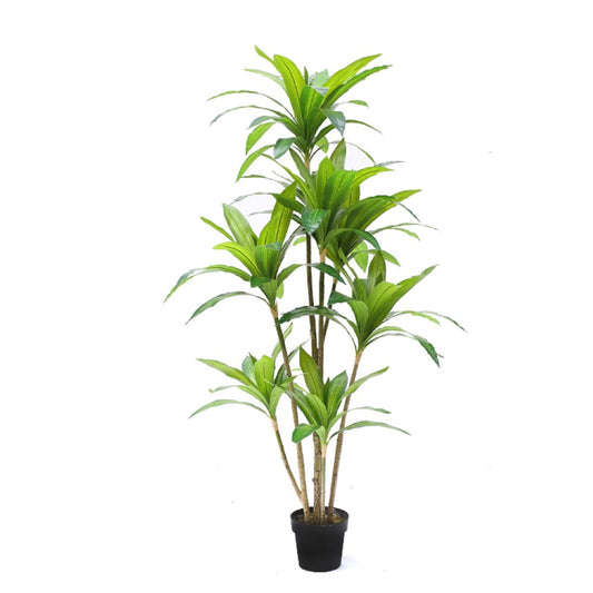 Faux Cornstalk Dracaena Plant