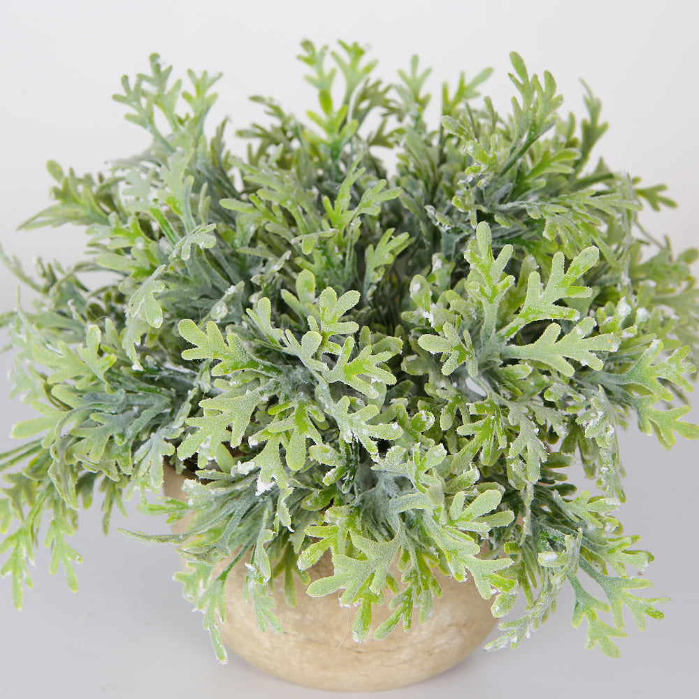 Faux Dusty Miller Plant