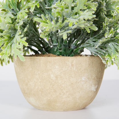 Faux Dusty Miller Plant