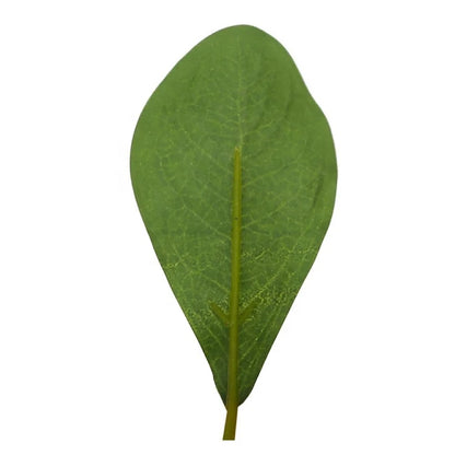 Faux Leafy Branch Decor