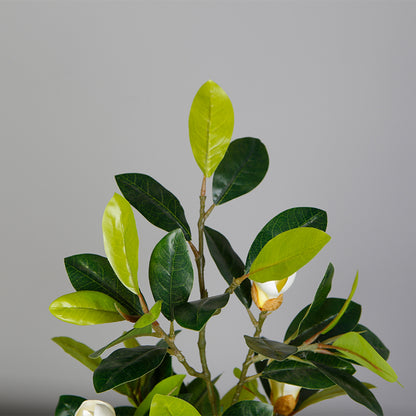 Faux Magnolia Plant In Pot