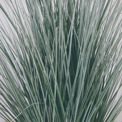 Faux Pampas Grass In Pot