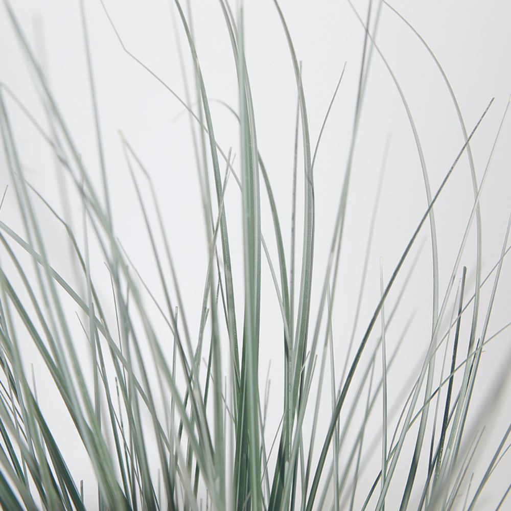 Faux Pampas Grass In Pot