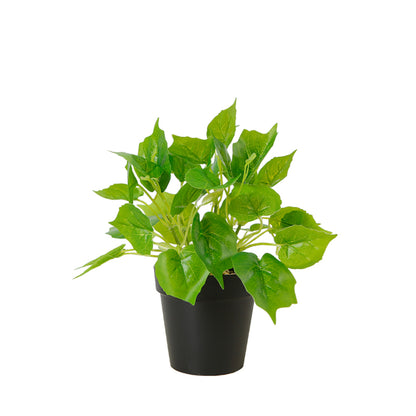 Faux Pothos Plant