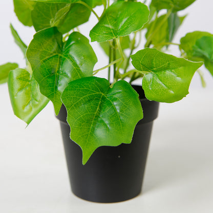 Faux Pothos Plant