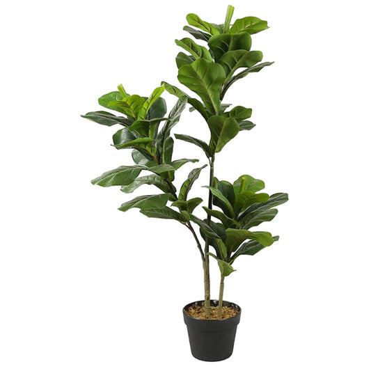 Ficus Lyrata Tree Decor