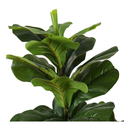 Ficus Lyrata Tree Decor