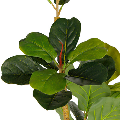 Fiddle Leaf Fig Tree Decoration