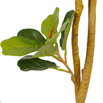 Fiddle Leaf Fig Tree Decoration