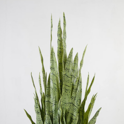 Artificial Imitation Snake Plant