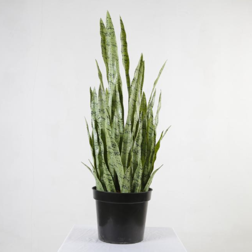 Artificial Imitation Snake Plant