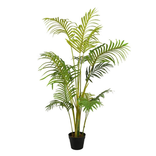 Hawaii Indoors Tree For Decor