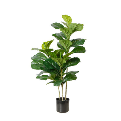 Home Decor Banyan Ficus Tree