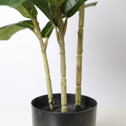 Home Decor Banyan Ficus Tree