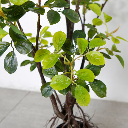 Imitation Bird of Paradise Indoor Decorative Plant