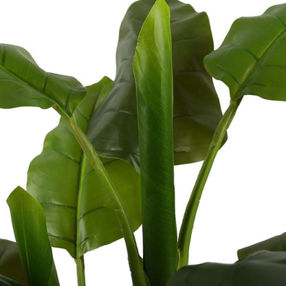 Imitation Bird of Paradise Interior Plant