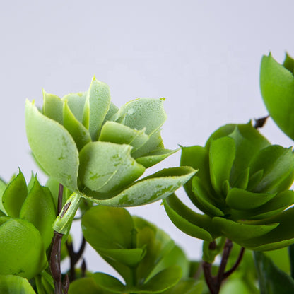 Imitation Echeveria Plant