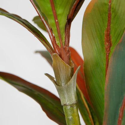 Indoor Artificial Cordyline Plant