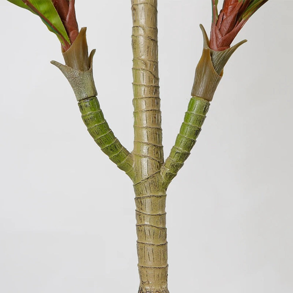 Indoor Artificial Cordyline Plant