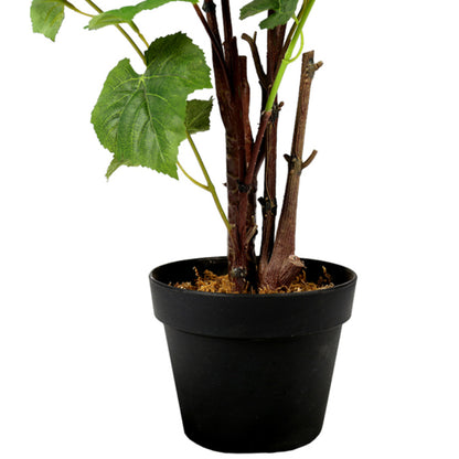 Indoor Artificial Grape Plant