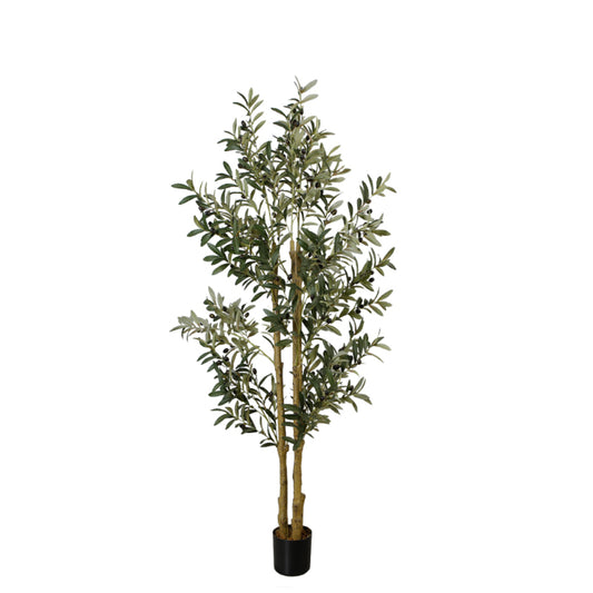 Indoor Artificial Olive Tree