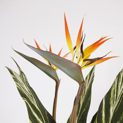 Indoor Artificial Tropical Alpinia Tree