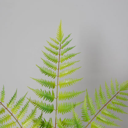 Indoor Decor Artificial Alsophila Fern Tree