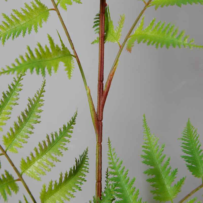 Indoor Decor Artificial Alsophila Fern Tree