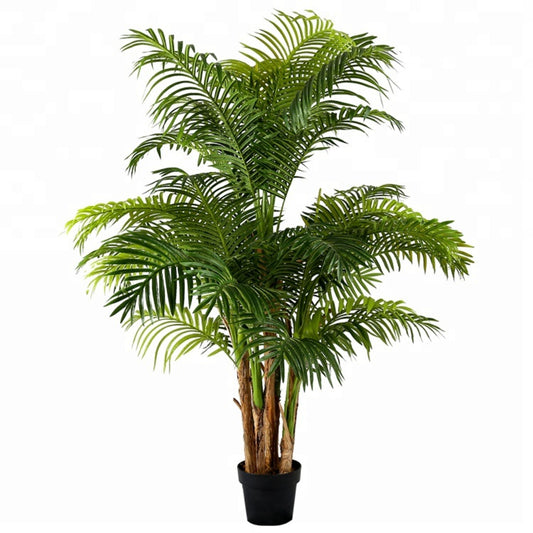 Indoor Decoration Areca Tree
