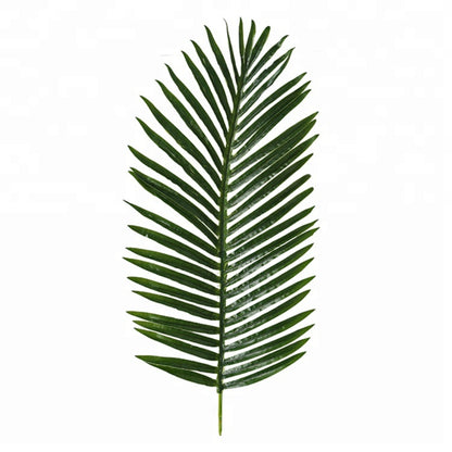 Indoor Decoration Areca Tree