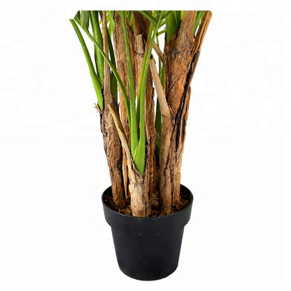Indoor Decoration Areca Tree