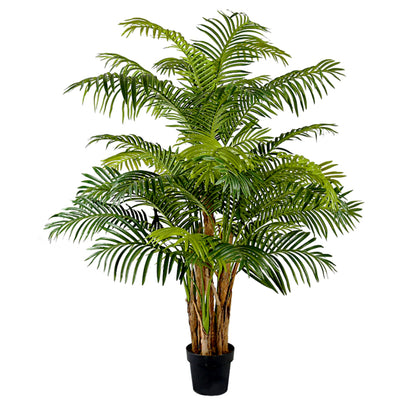 Indoor Decoration Areca Tree